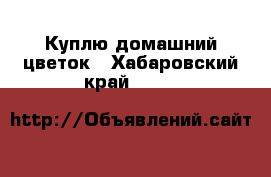 Куплю домашний цветок - Хабаровский край  »    